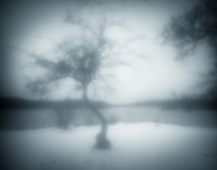 Limited Edition Black and White Photograph "One Winter Tree" 30 x 40