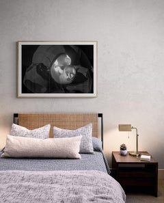 Limited Edition Black and White Photograph Shell "Spiraling Out" 20 x 24