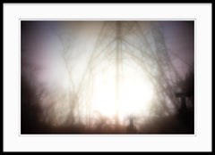 Limited Edition Color Photograph - Climate Change " Loss " 2021