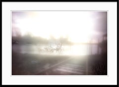 Limited Edition Color Photograph - Climate Change " Track is Gone " 2021