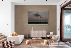 Limited Edition Color Photograph - "Corn Field" 30 x 40