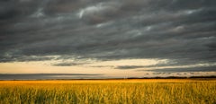 Limited Edition Color Photograph - Landscape, Cape Cod 20 x 24