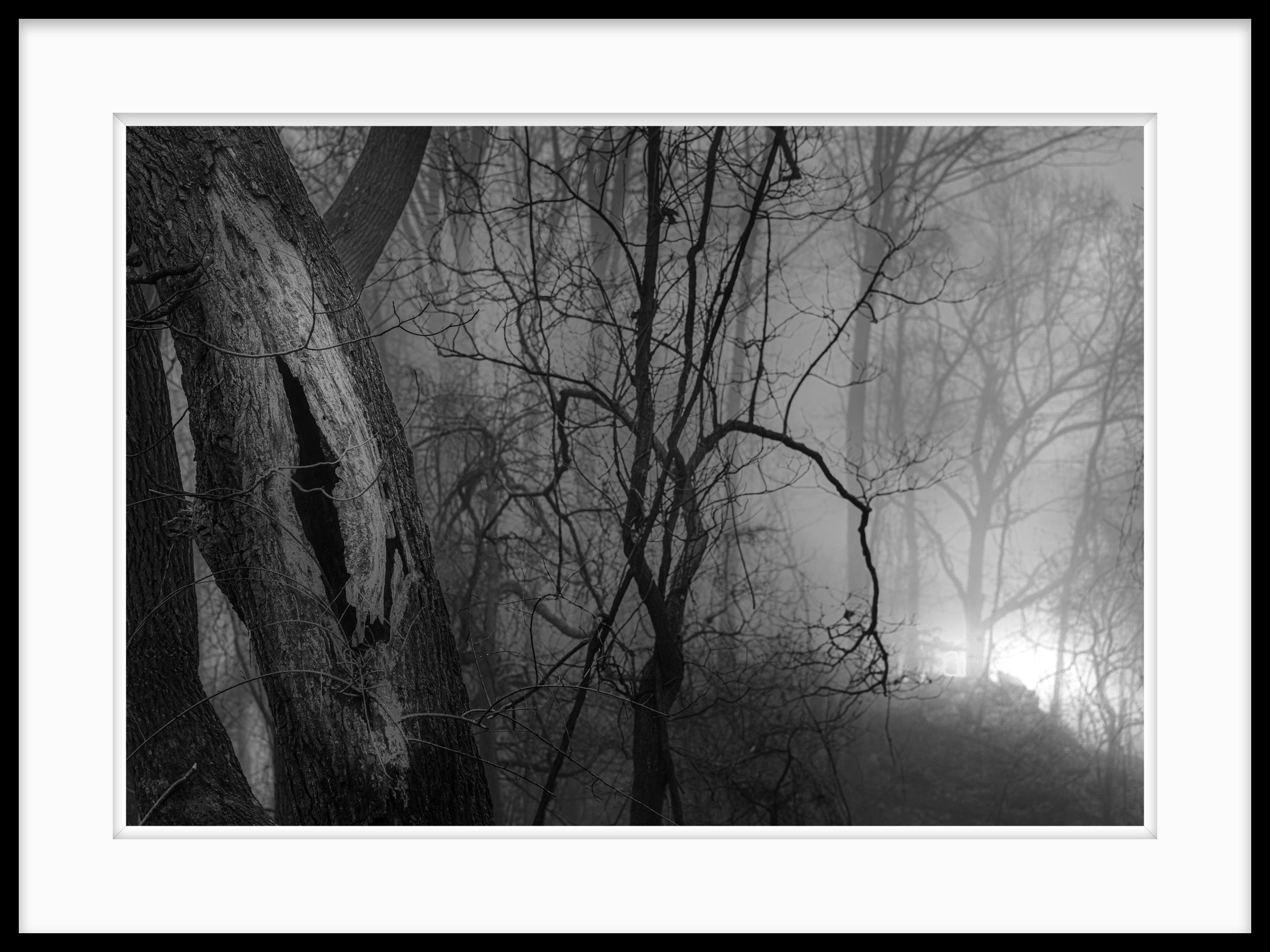 Limited edition black and white landscape photograph archival pigment print. 