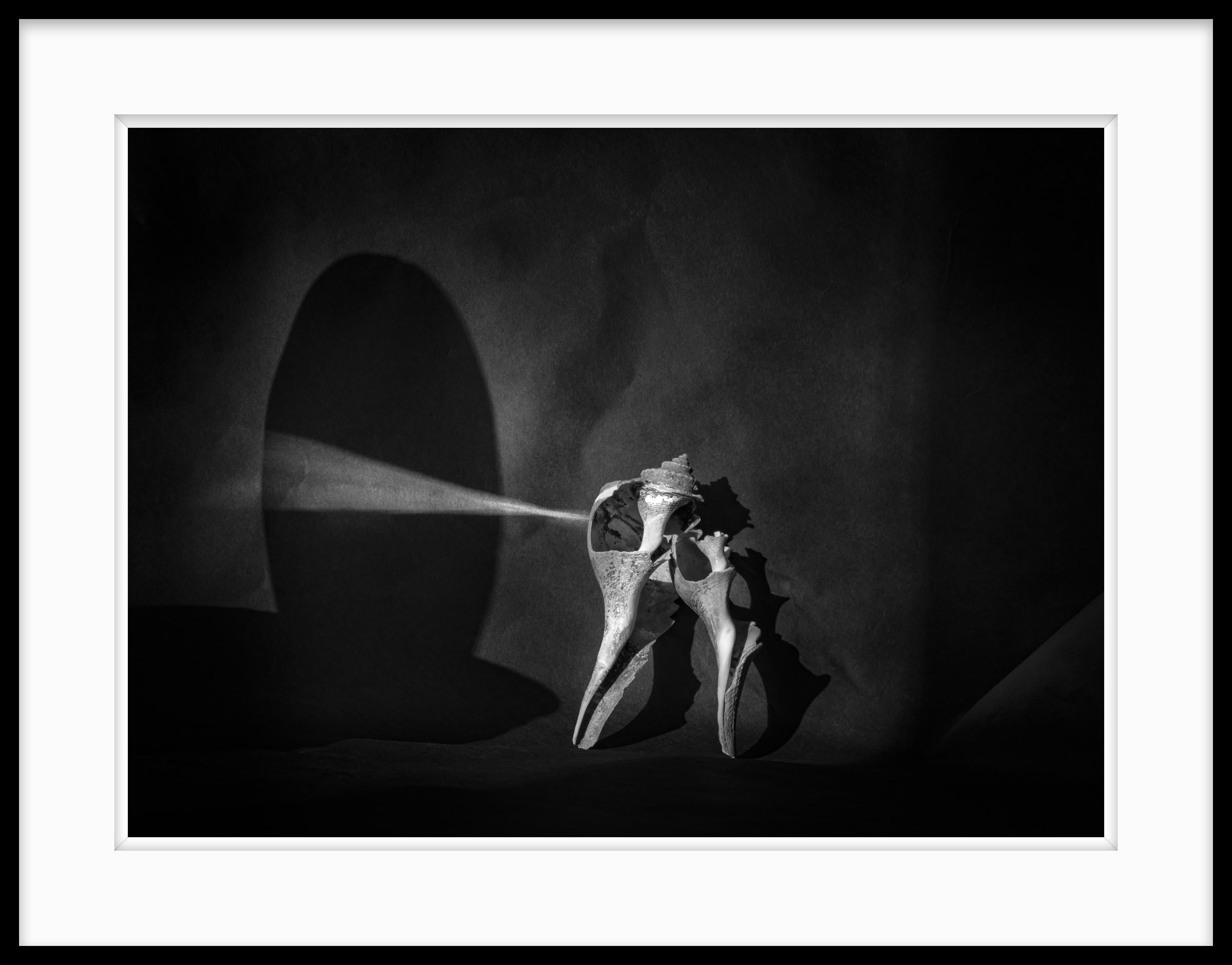 Stillleben-Schwarz-Weiß-Fotografieschale „Two in the Spotlight“ – Photograph von Howard Lewis