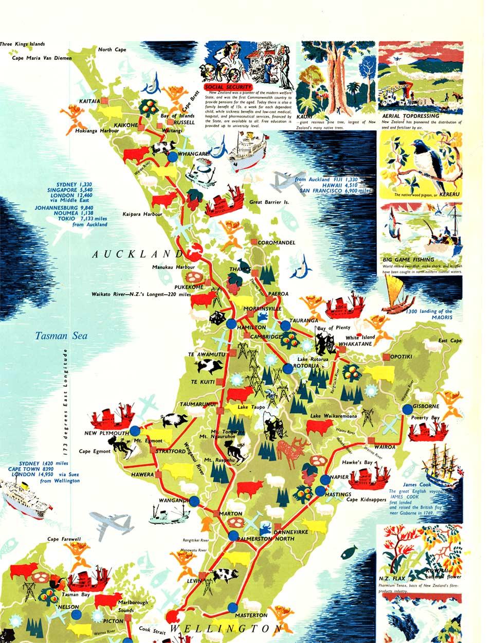 Poster d'epoca originale della Nuova Zelanda Mappa e attività - Print Realismo americano di Howard Mallitte