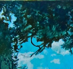 “Out My Window”, wind tossed blue sky framed by green foliage