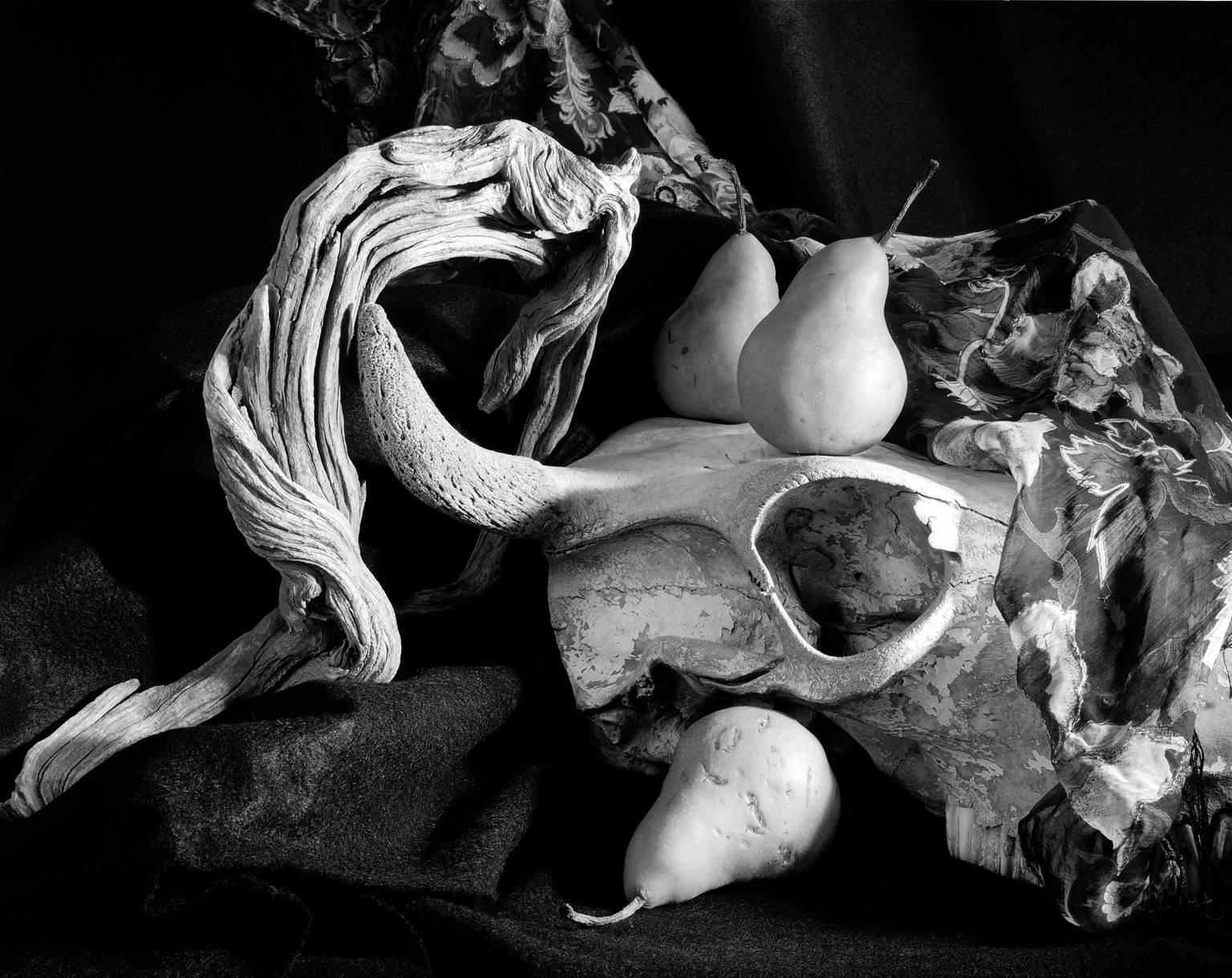 Howard Nathenson Black and White Photograph - "Driftwood, Skull, Pears", digital black and white still life photograph
