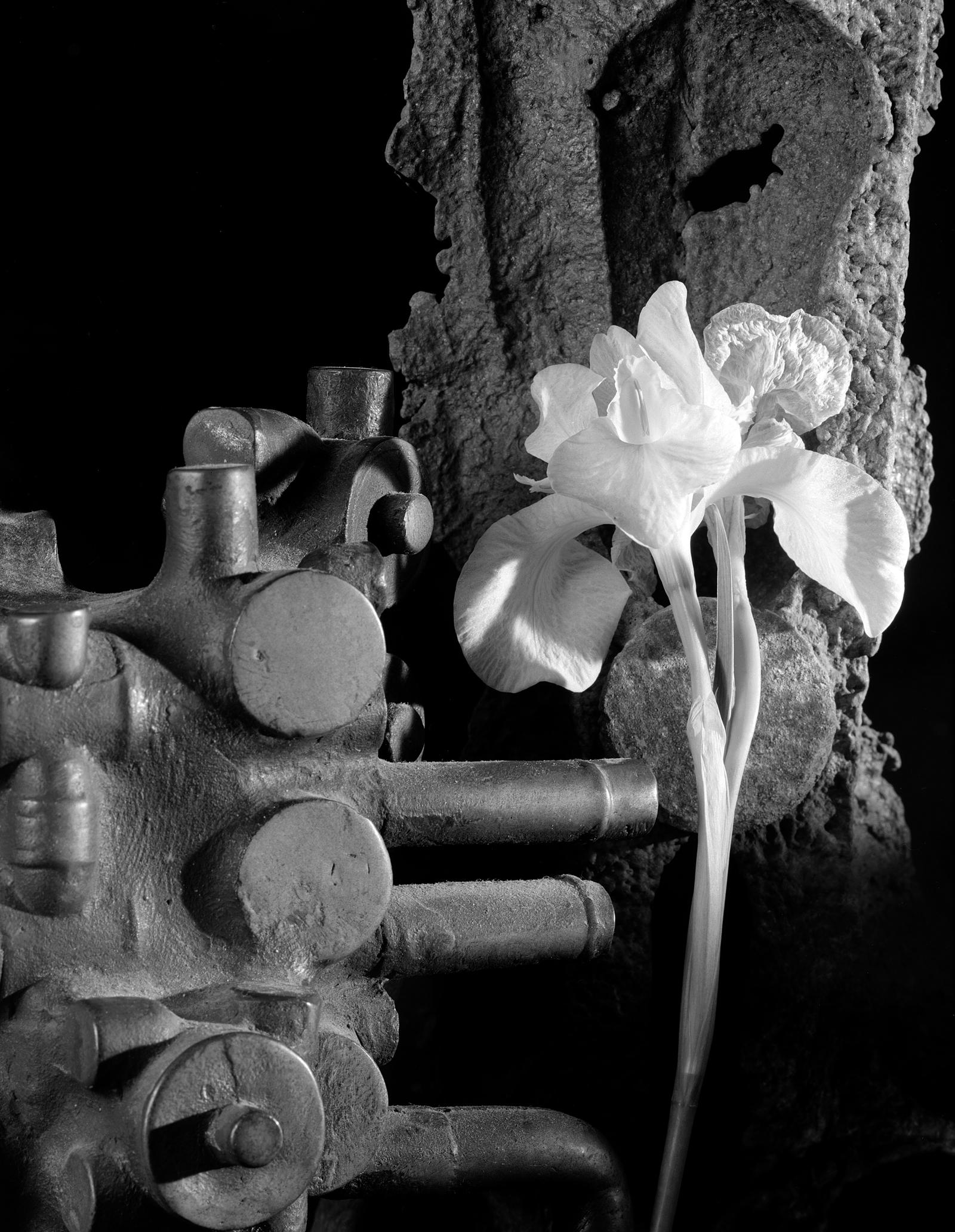 Howard Nathenson Still-Life Photograph - "Iris, Machine Part",  digital black and white still life photograph 