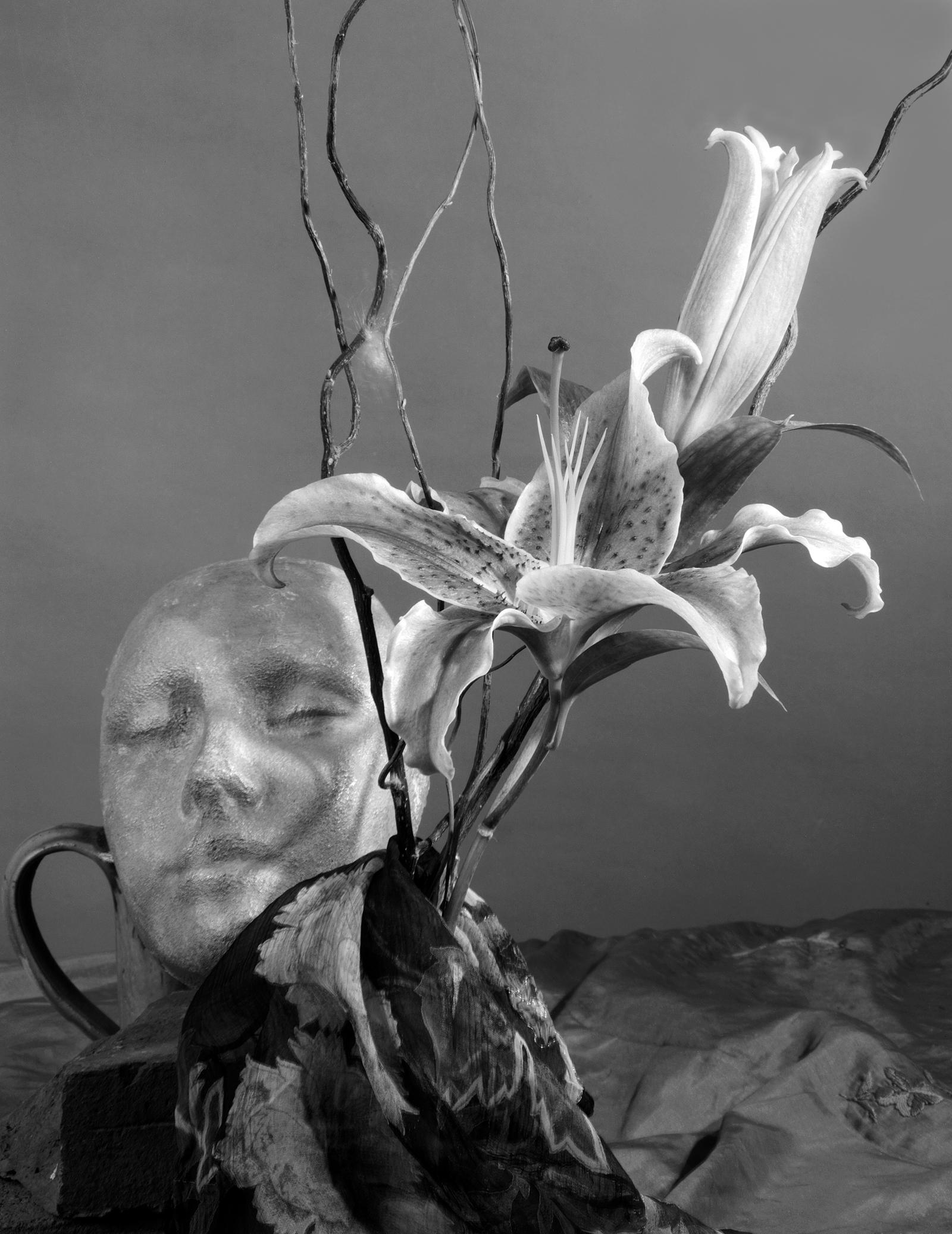 Howard Nathenson Still-Life Photograph - “Lily, Aluminum Face”, digital black and white still life photograph