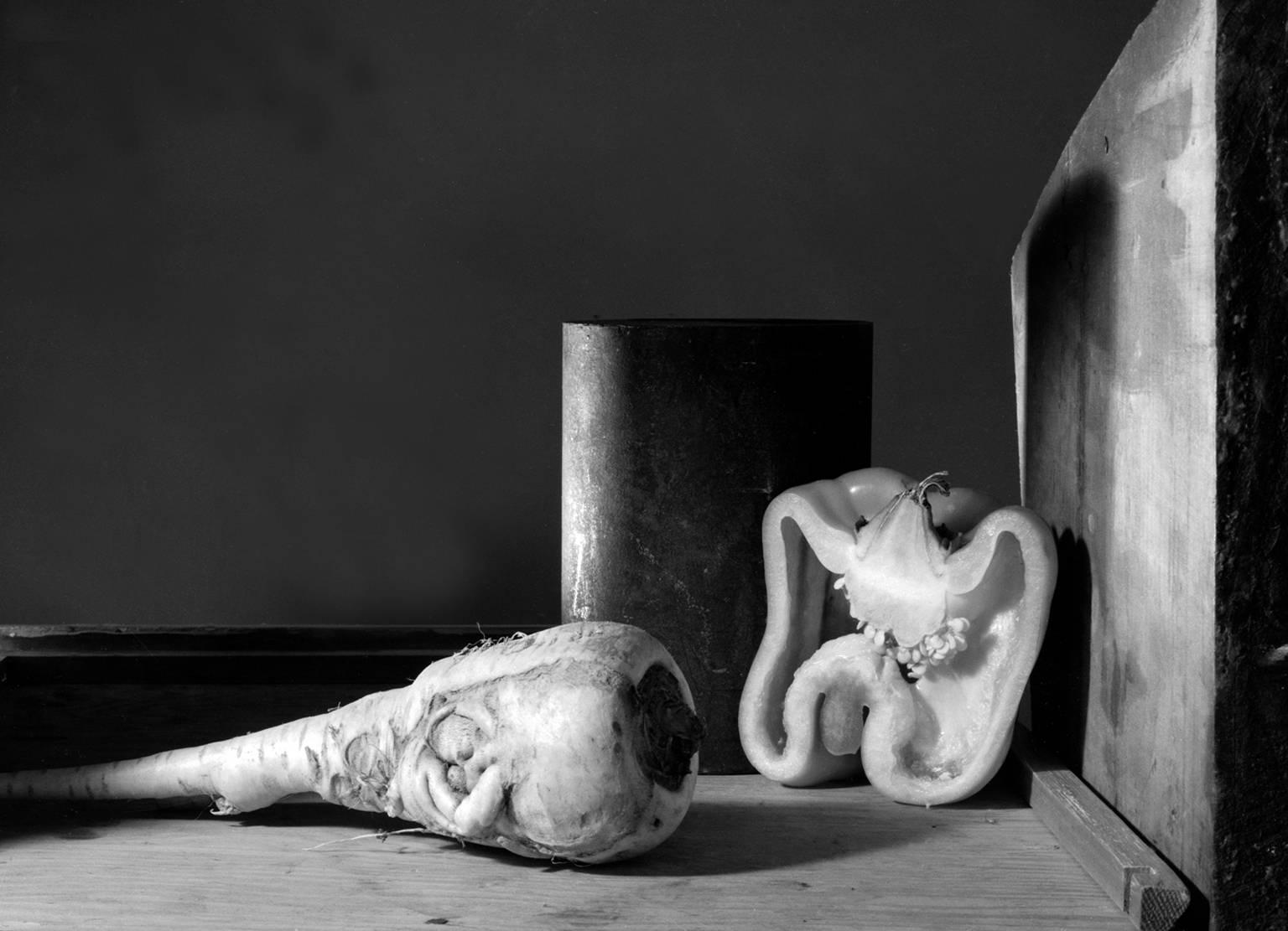 Howard Nathenson Black and White Photograph - "Parsnip and Half Pepper", digital black and white still life photograph