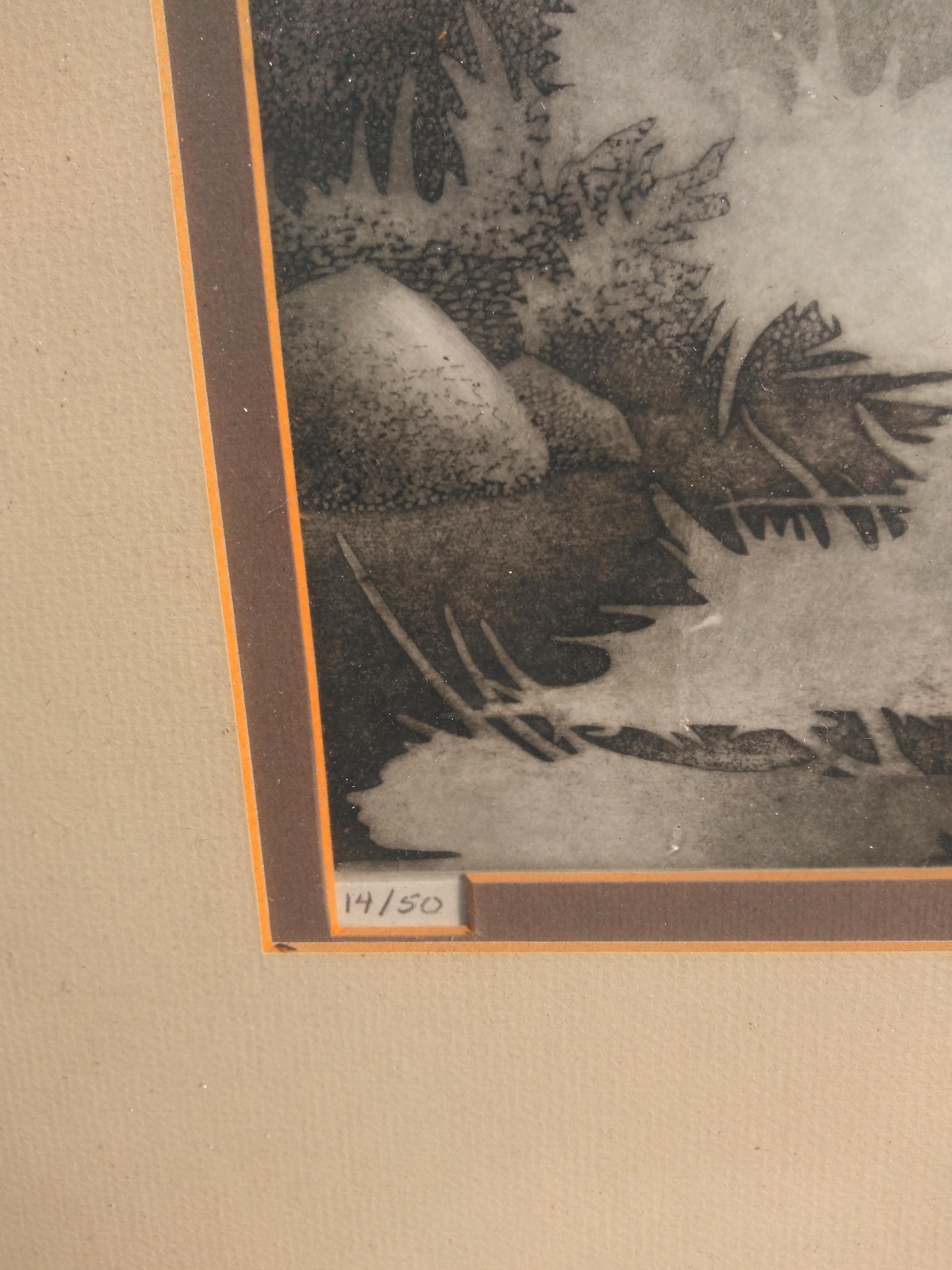 Litografia di Howard Purnell raffigurante un sentiero nella foresta 14/50 In condizioni buone in vendita a Pasadena, TX