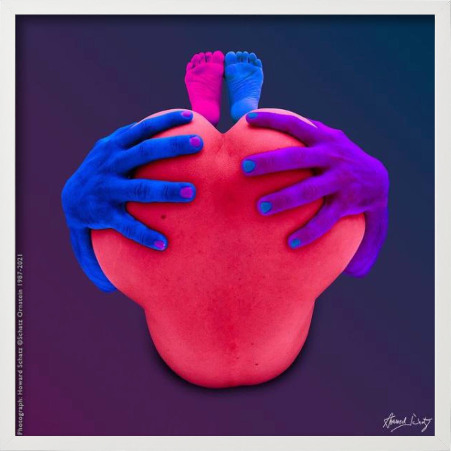 ANTHOLOGY Body Knot #183 von Howard Schatz, Fine Art Photography, 2018 im Angebot 7