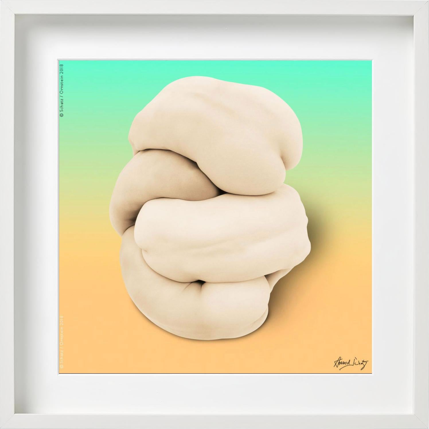 ANTHOLOGY Body Knot #5587 by Howard Schatz, Fine Art Photography, 2018 For Sale 9