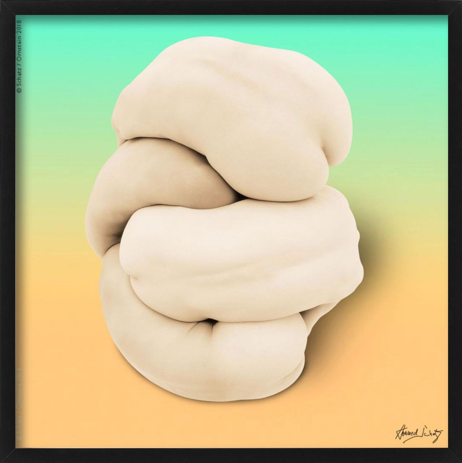 ANTHOLOGY Body Knot #5587 by Howard Schatz, Fine Art Photography, 2018 For Sale 3