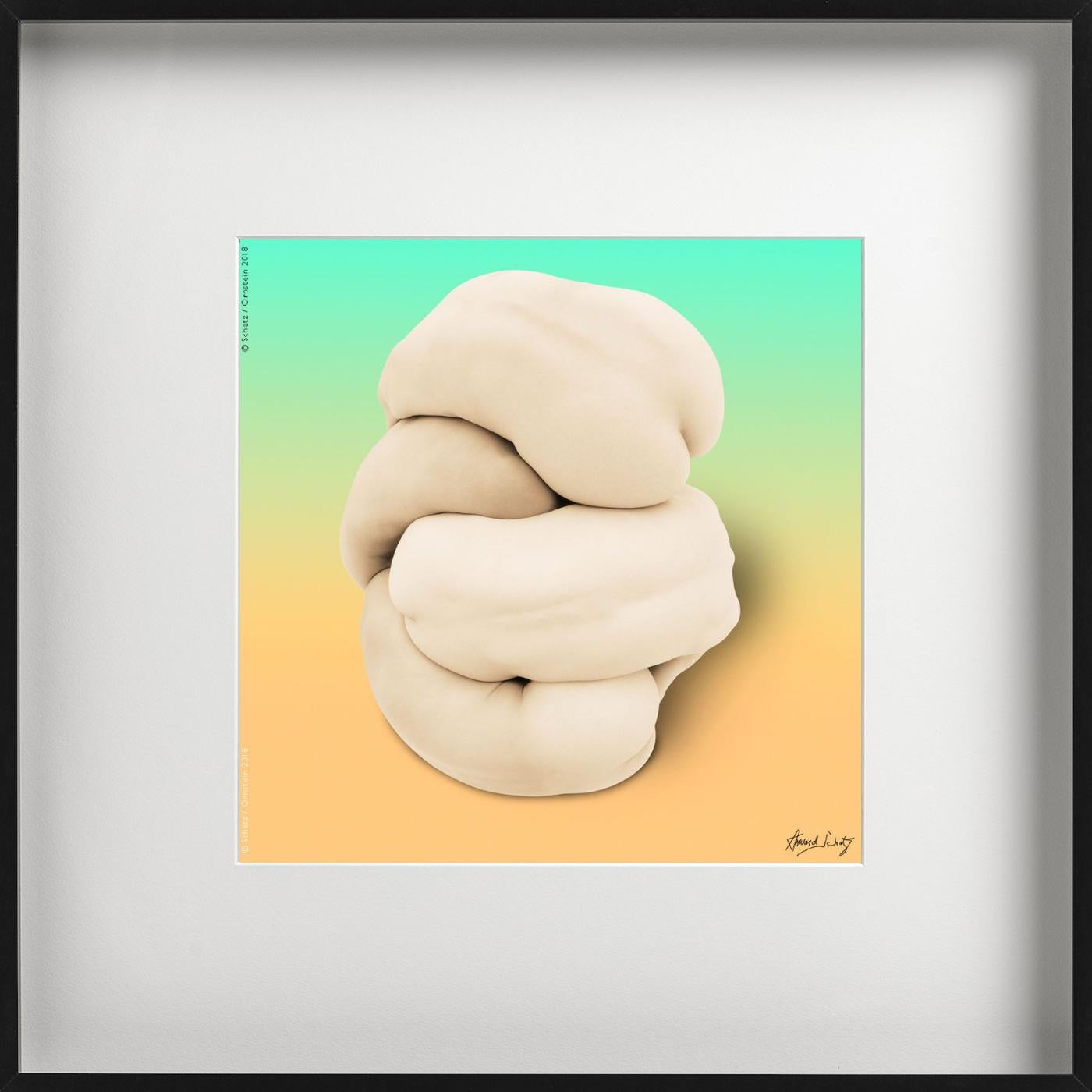 ANTHOLOGY Body Knot #5587 by Howard Schatz, Fine Art Photography, 2018 For Sale 5