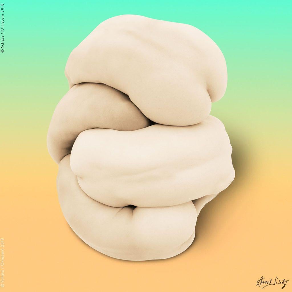 Body Knot #5587, pale yellow limbs intertwined into a knot, photographed by Howard Schatz in 2018.

All prints are limited edition. Available in multiple sizes. High-end framing on request.

All prints are done and signed by the artist. The
