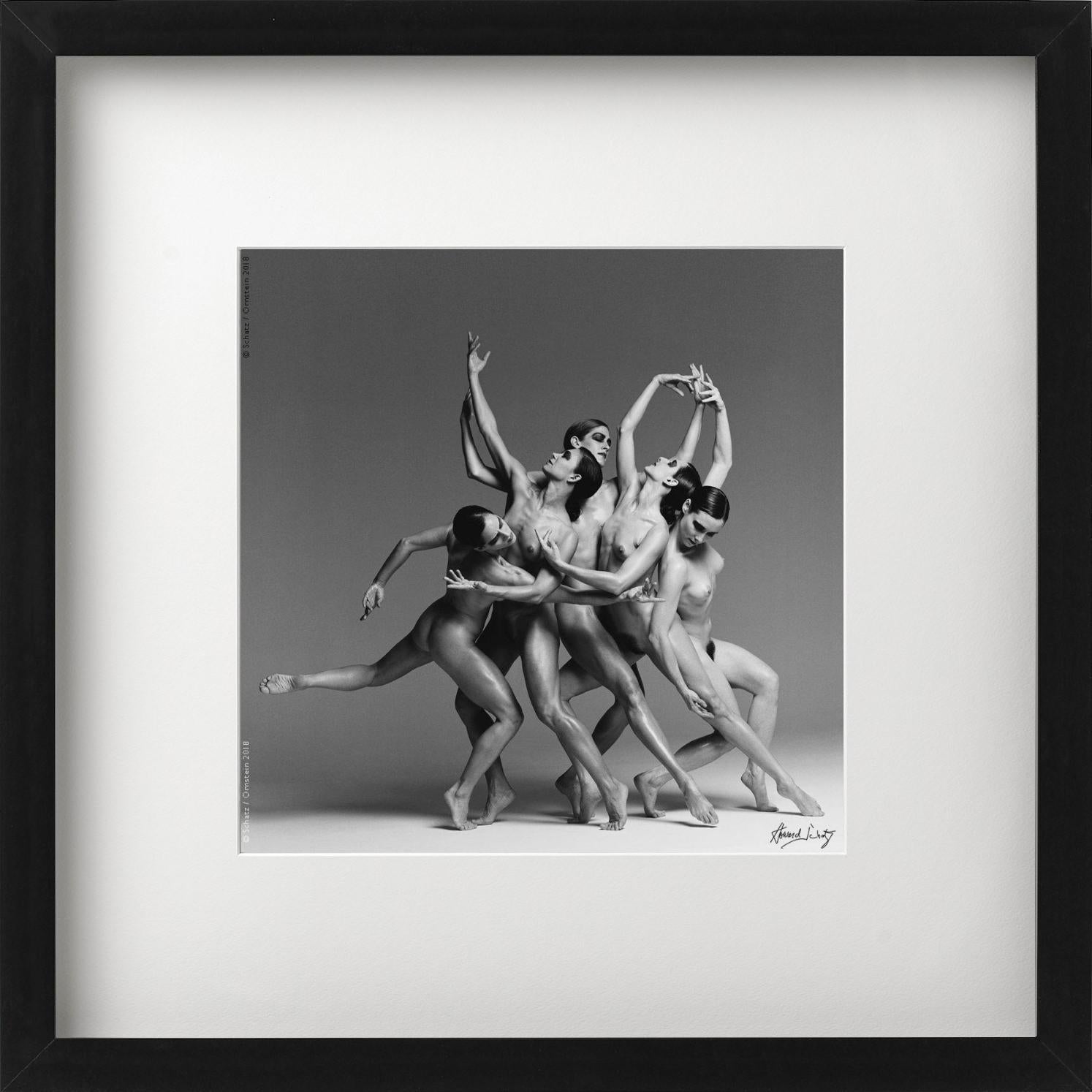 ANTHOLOGY, Dance #5203, a group of dancers intertwined, photographed by Howard Schatz in 2018.

All prints are limited edition. Available in multiple sizes. High-end framing on request.

All prints are done and signed by the artist. The collector