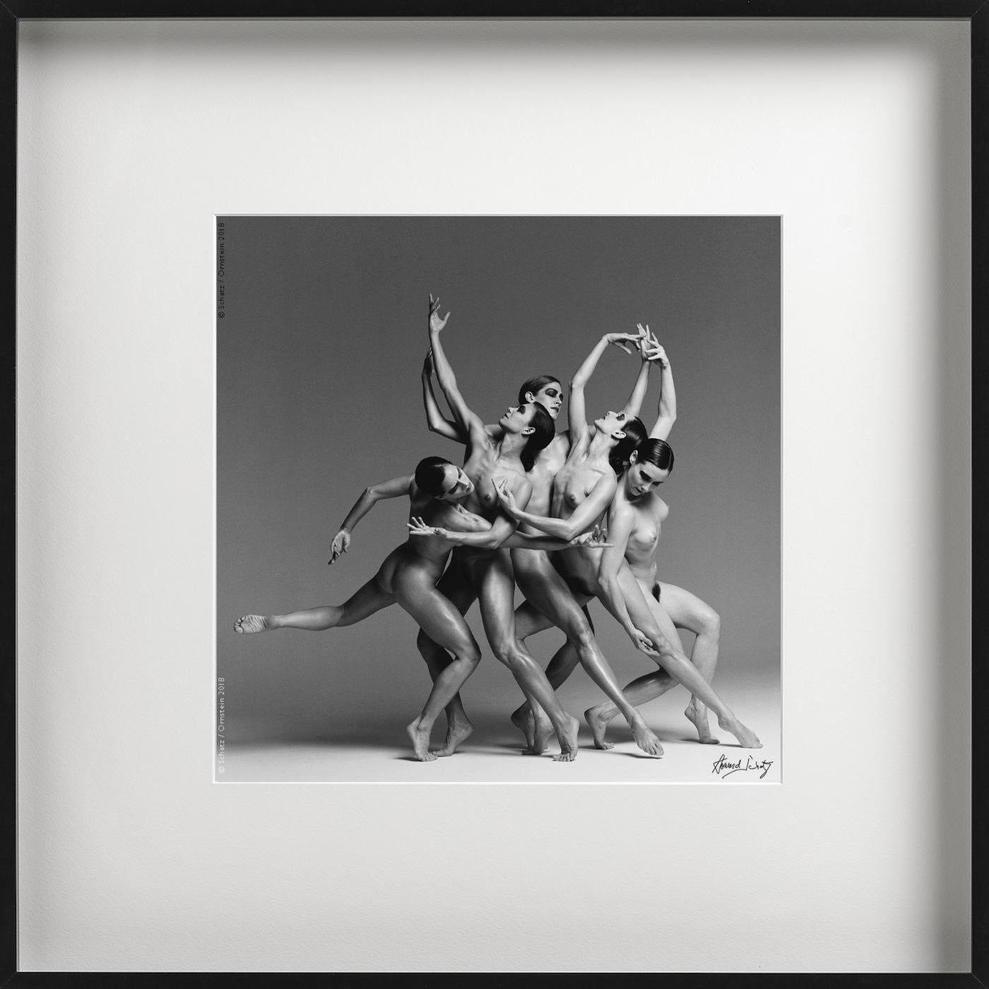 ANTHOLOGY, Dance #5203 - Nude Dancers - Fine Art Photography For Sale 1