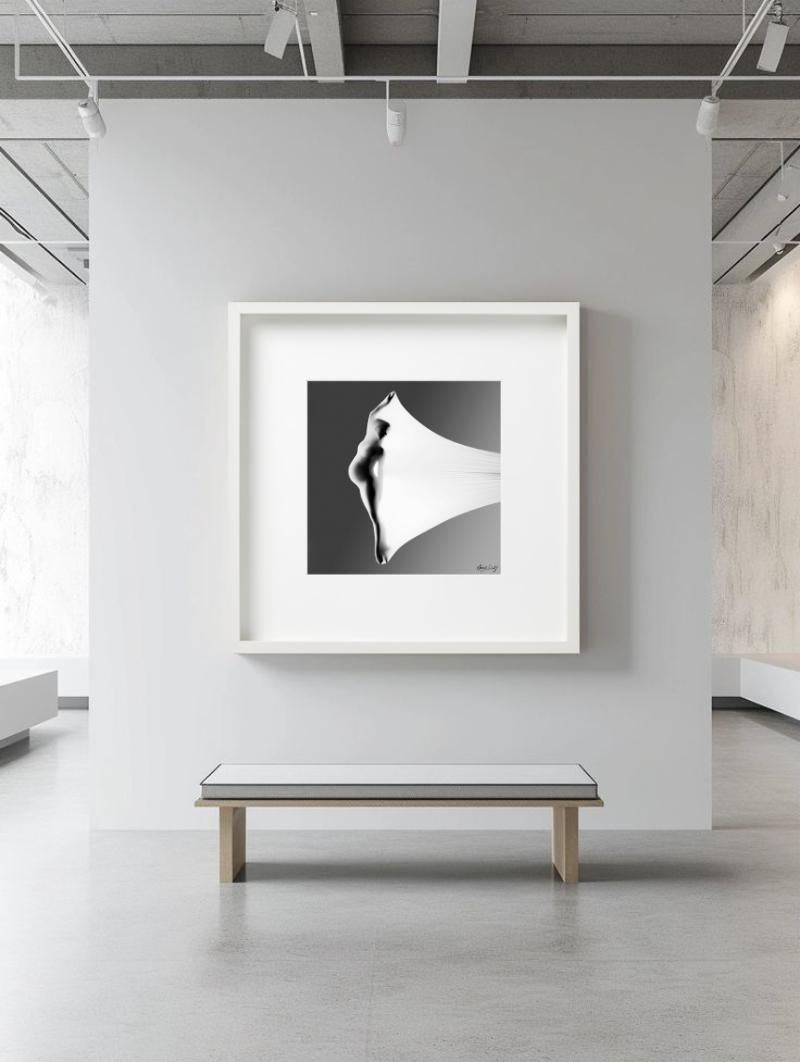 Antología, Fotografía artística - Photograph de Howard Schatz