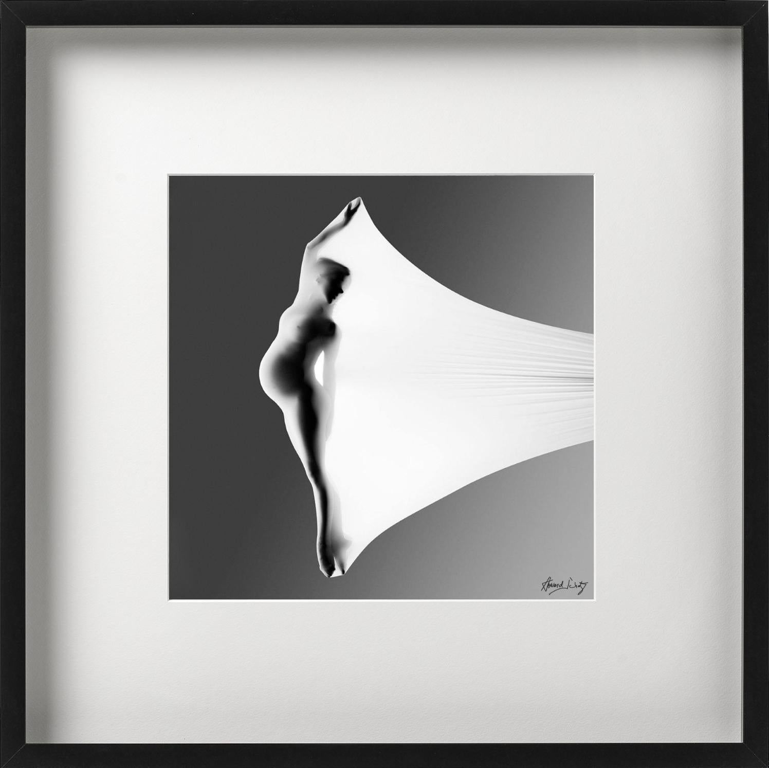 Antología, Fotografía artística - Photograph Contemporáneo de Howard Schatz