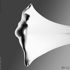 Anthology, Fine Art Photography