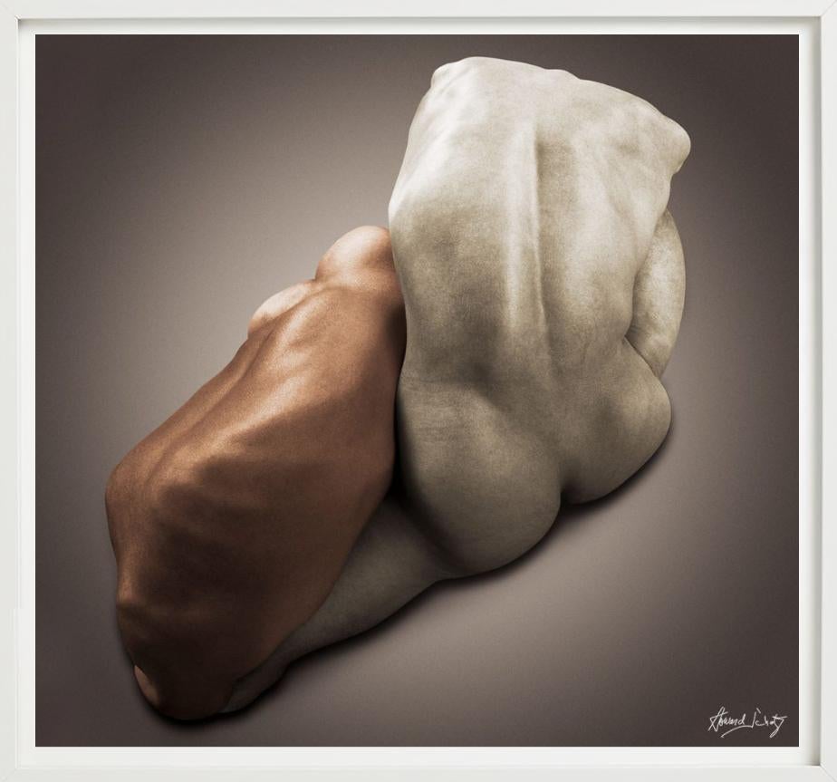 Body Knot #151 von Howard Schatz, Kunstfotografie, 2018 im Angebot 6