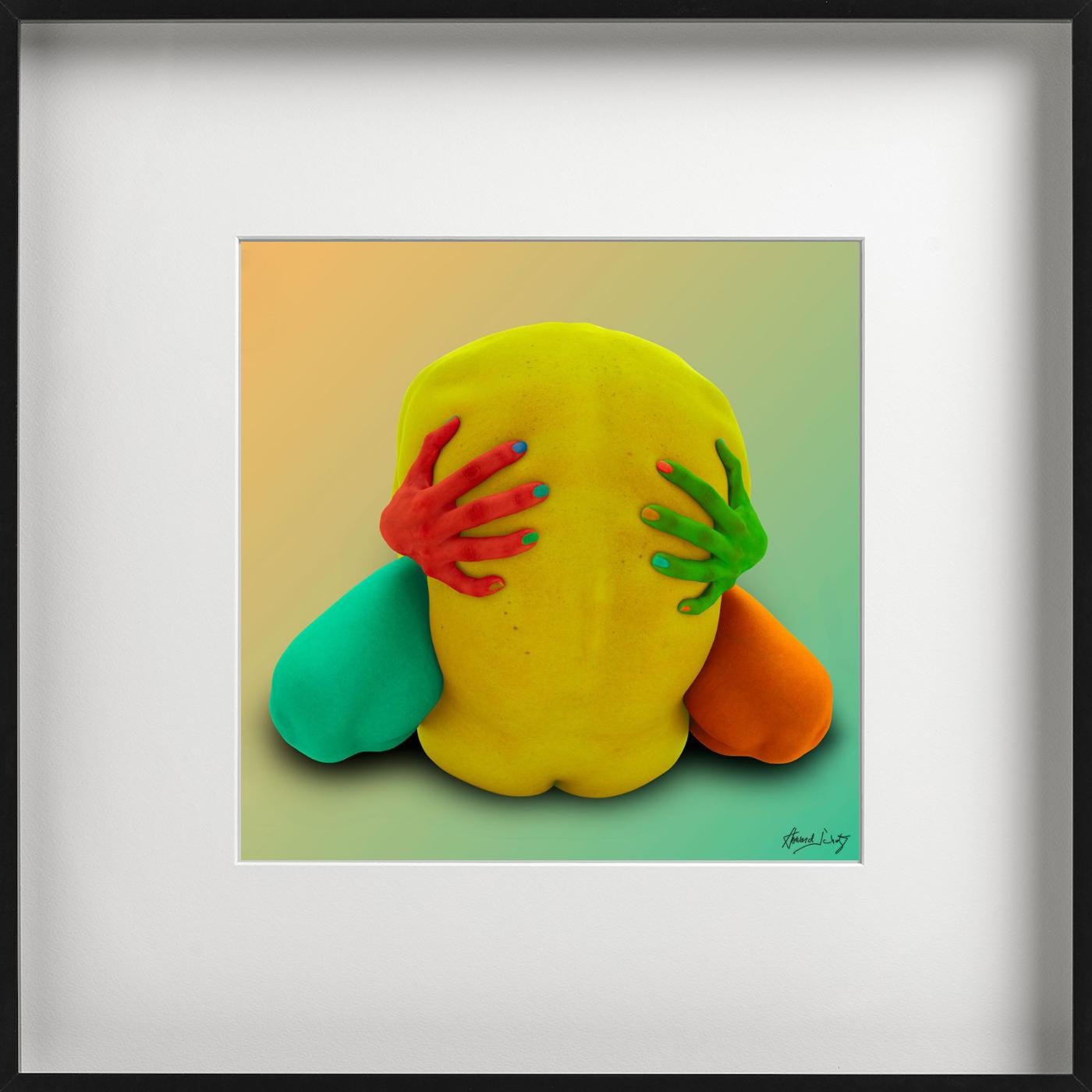 Body Knot #536 de Howard Schatz, Fotografía artística, 2018 en venta 3