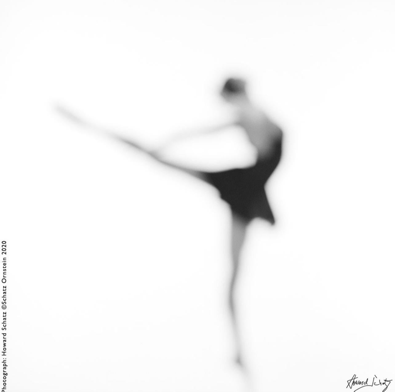 Howard Schatz Figurative Photograph - Dance Study 1066