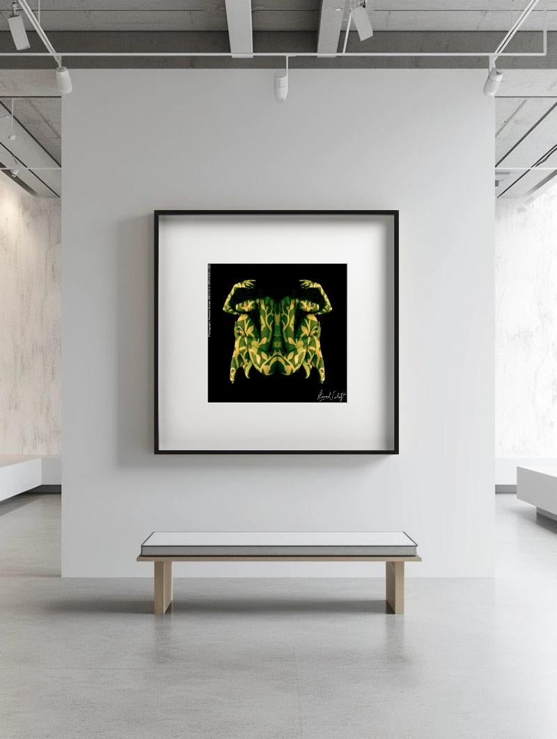 Tanzstudium 1567, Bildende Kunst Fotografie – Photograph von Howard Schatz