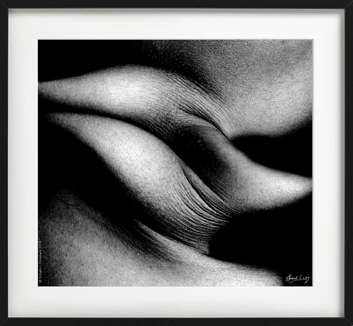 Foldes Study 1031 - Primo piano del corpo - Fotografia d'autore - Black and White Photograph Nero di Howard Schatz