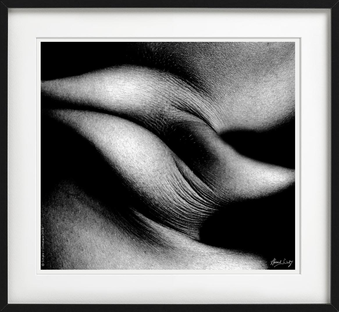 Studio Foldes 1031, fotografato da Howard Schatz.

Tutte le stampe sono in edizione limitata. Disponibile in più misure. Cornici di alto livello su richiesta.

Tutte le stampe sono realizzate e firmate dall'artista. Il collezionista riceve un