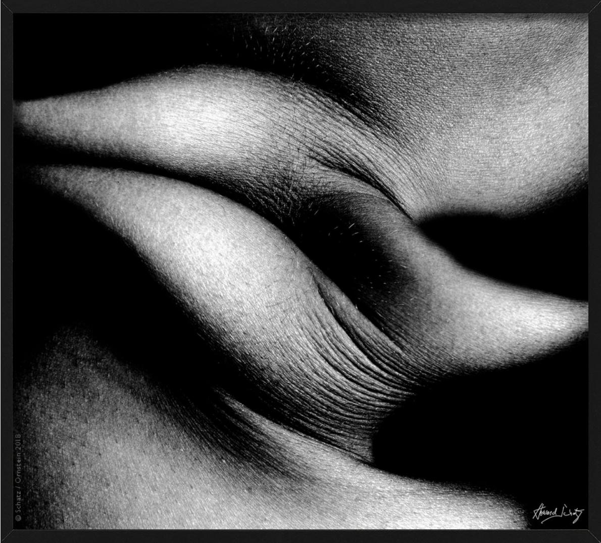 Foldes Study 1031 - Primo piano del corpo - Fotografia d'autore in vendita 1