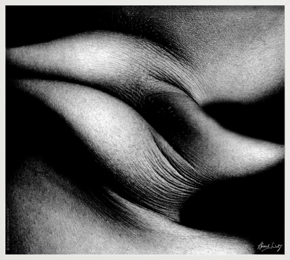 Foldes Study 1031 - Primo piano del corpo - Fotografia d'autore in vendita 2