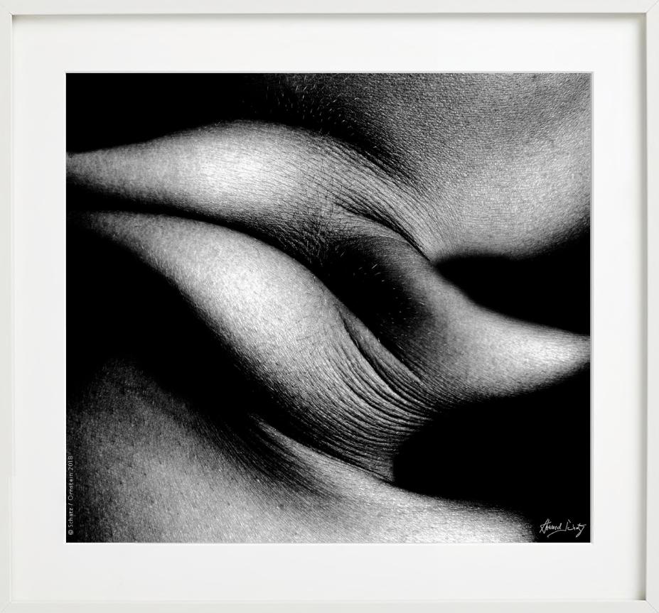 Foldes Study 1031 - Primo piano del corpo - Fotografia d'autore in vendita 3