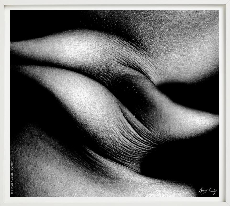 Foldes Study 1031 - Primo piano del corpo - Fotografia d'autore in vendita 4