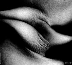 Foldes Study 1031 - Primo piano del corpo - Fotografia d'autore