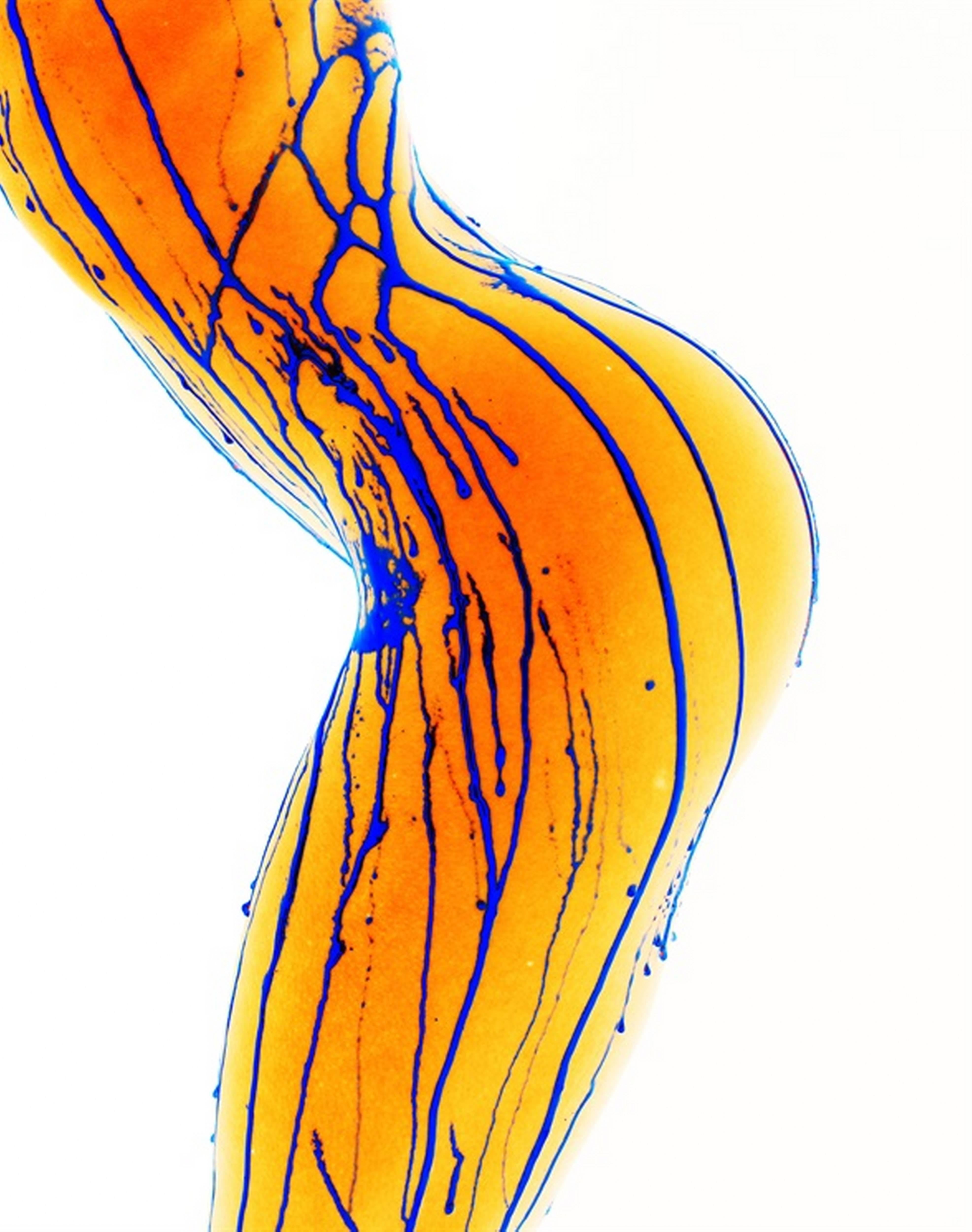 Howard Schatz Black and White Photograph - Liquid Light Study II