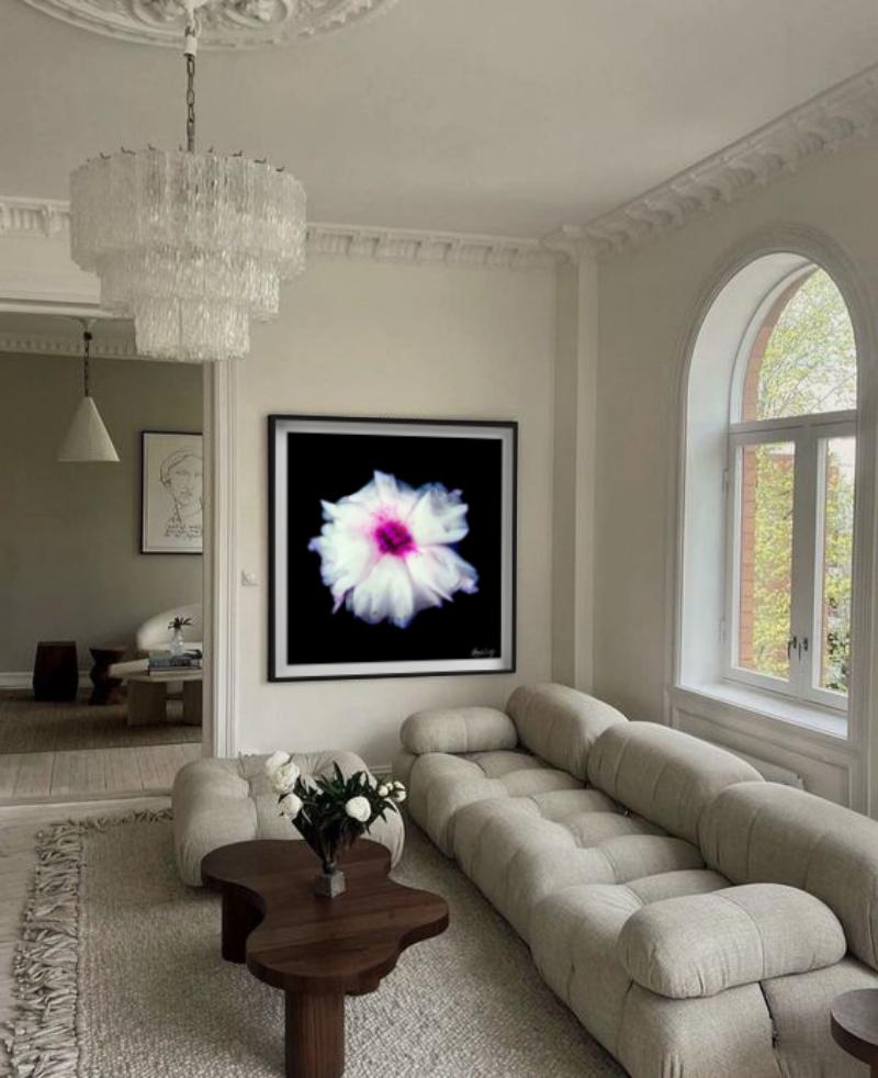 Lisianthus - Closeup of a Pink and White Flower, Fine Art Photography, 2002 For Sale 1