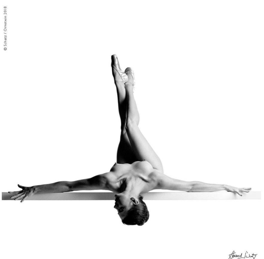 Howard Schatz Nude Photograph - Nude Study 1363