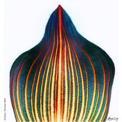 Slipper Orchid 2, from the Botanica Series