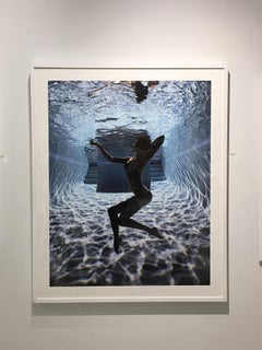 Underwater Study 2826