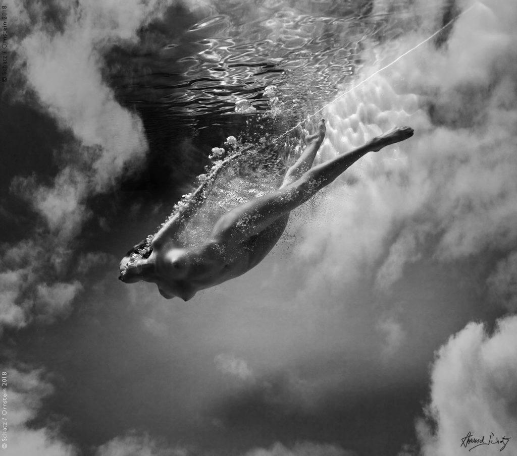 Underwater Study #2923