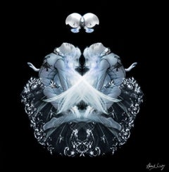 Underwater Study #5081 Atlantis, Fine Art Photography, 2018