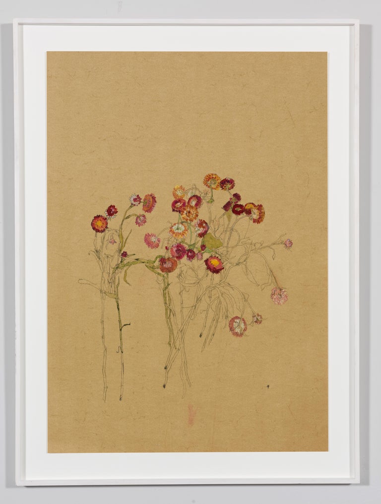 Flowers (Helichrysum), Mixed media on ochre parchment - Art by Howard Tangye