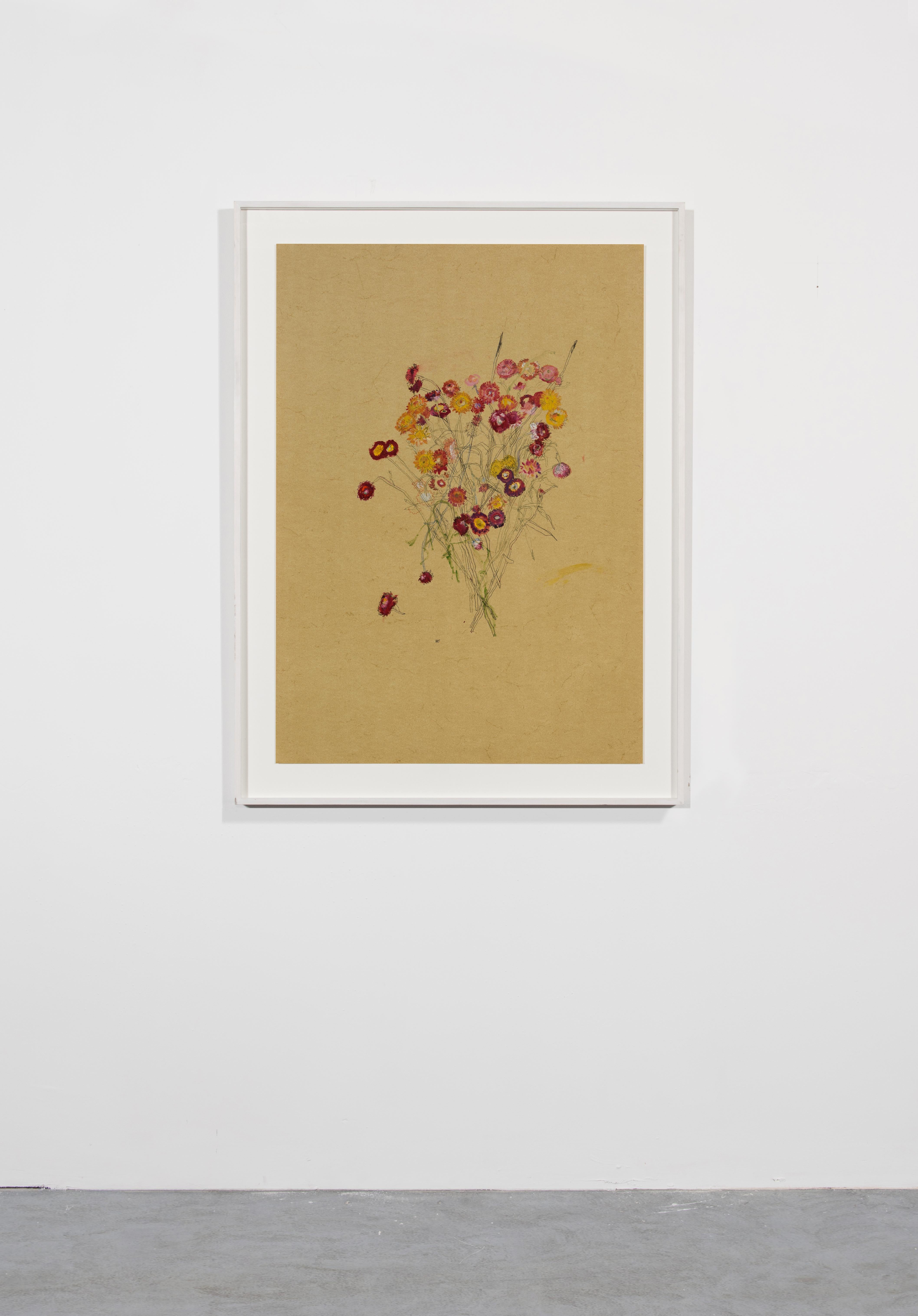 Blumen (Helichrysum), Mischtechnik auf Ockerpergament (Zeitgenössisch), Painting, von Howard Tangye