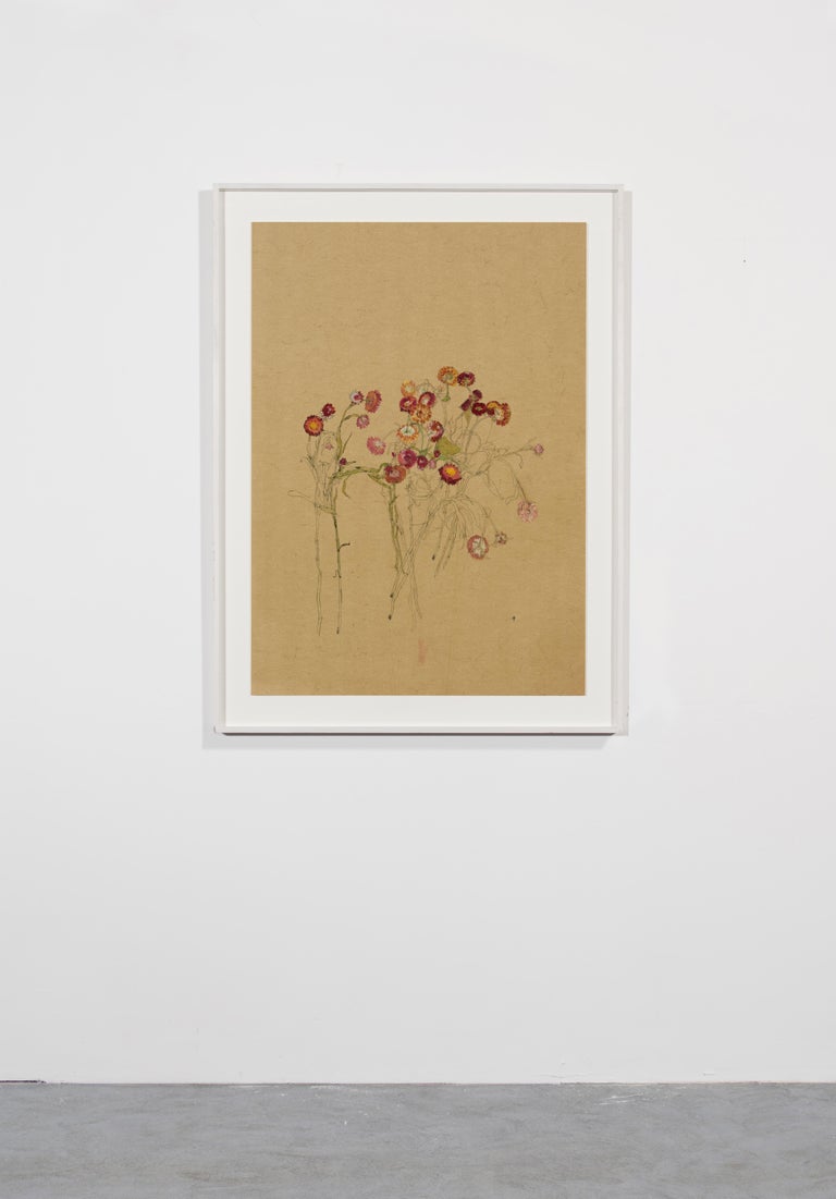 Flowers (Helichrysum), Mixed media on ochre parchment - Contemporary Art by Howard Tangye