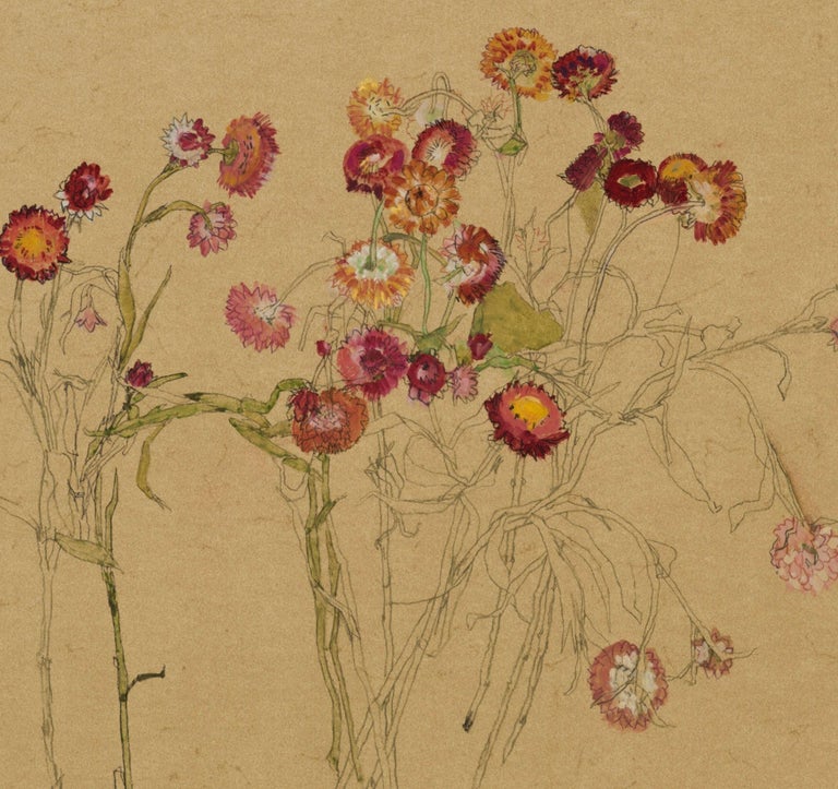 Flowers (Helichrysum), Mixed media on ochre parchment - Brown Still-Life by Howard Tangye