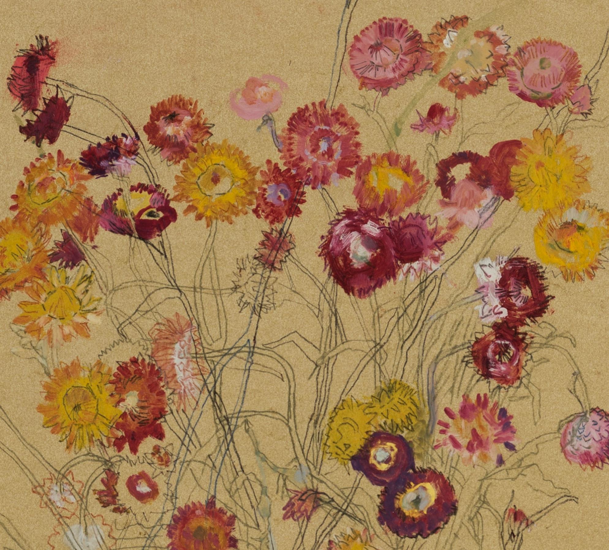 Fleurs (Helichrysum), Techniques mixtes sur parchemin ocre en vente 1