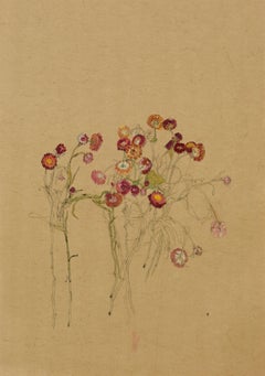 Flowers (Helichrysum), Mixed media on ochre parchment