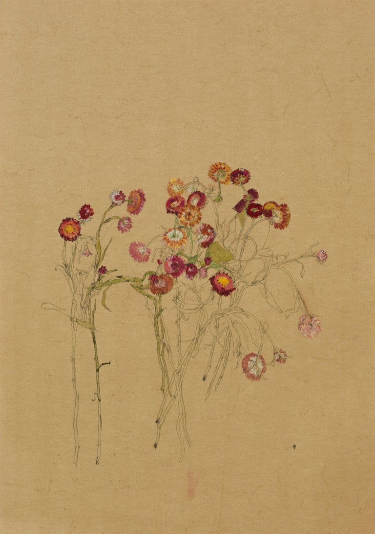Howard Tangye Still-Life - Flowers (Helichrysum), Mixed media on ochre parchment